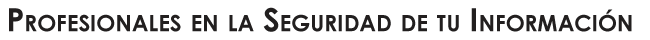 Profesionales en la seguridad de tu informaci&oacute;n